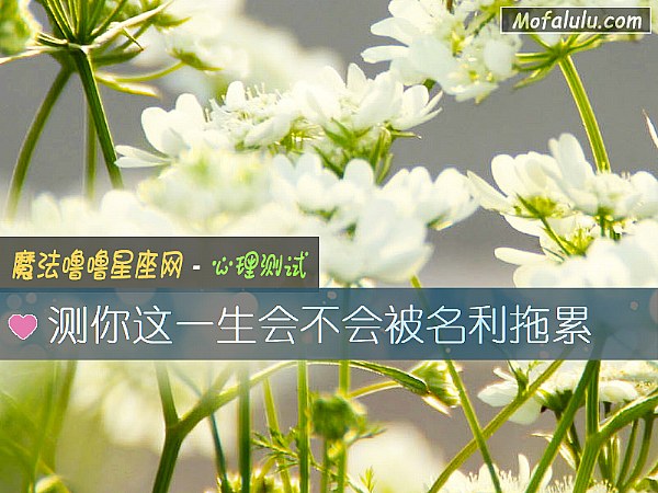 测你这一生会不会被名利拖累