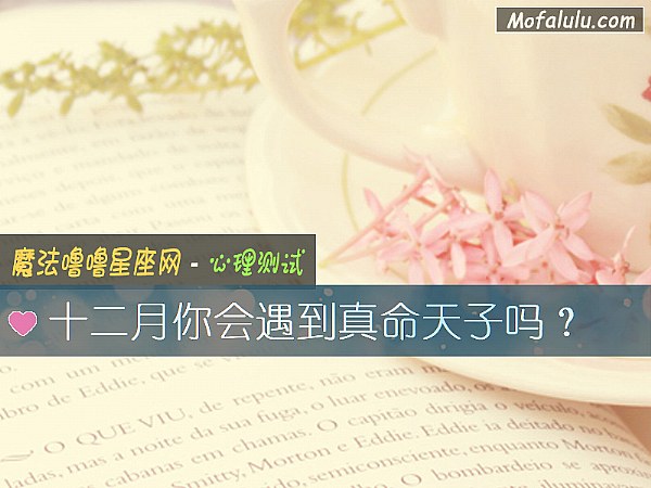 十二月你会遇到真命天子吗？