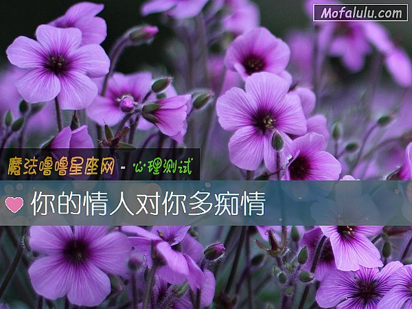你的情人对你多痴情 你的情人对你多痴情