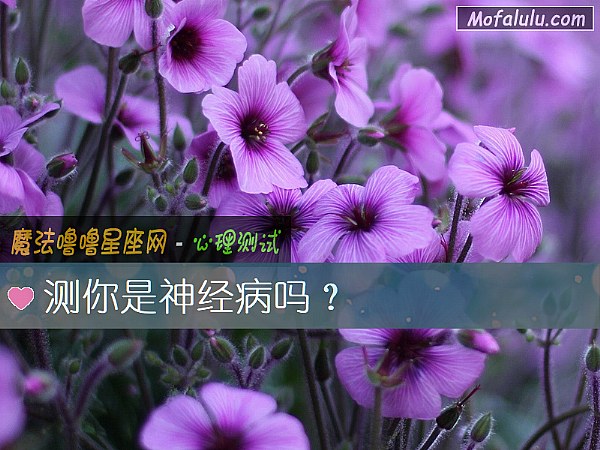 测你是神经病吗？