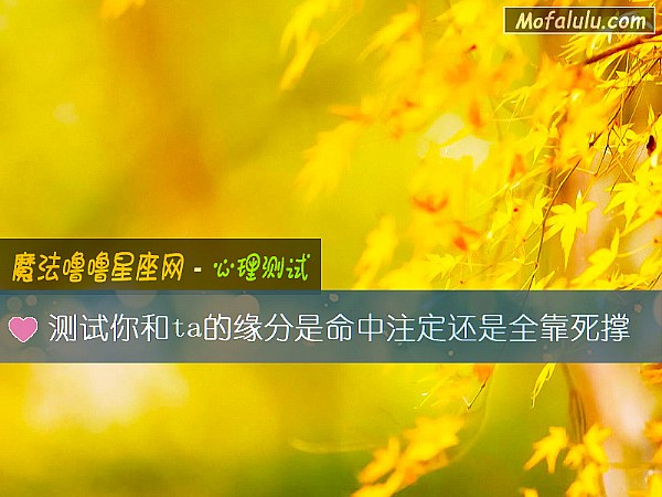 测试你和ta的缘分是命中注定还是全靠死撑