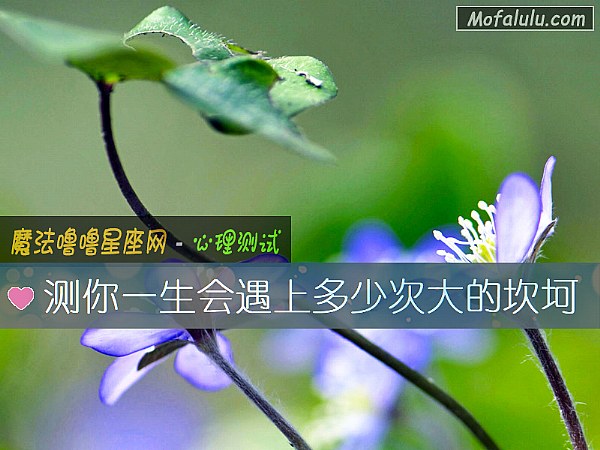 测你一生会遇上多少次大的坎坷