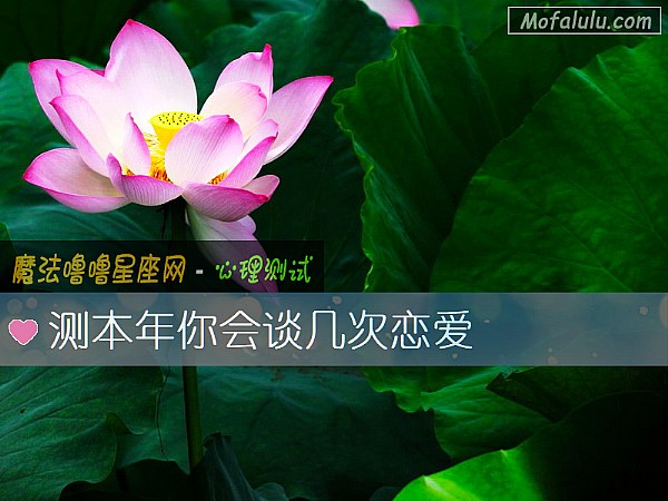 测本年你会谈几次恋爱