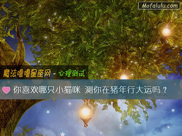 你喜欢哪只小猫咪 测你在猪年行大运吗？