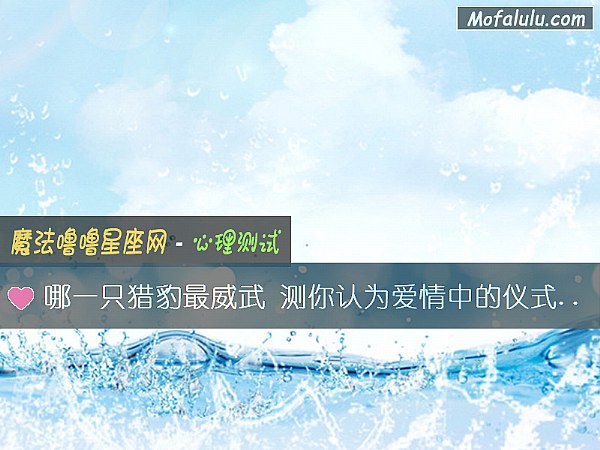 哪一只猎豹最威武 测你认为爱情中的仪式感是多余的吗？