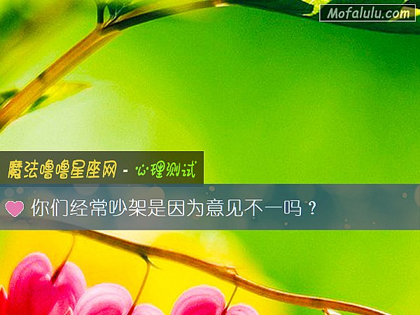 你们经常吵架是因为意见不一吗？