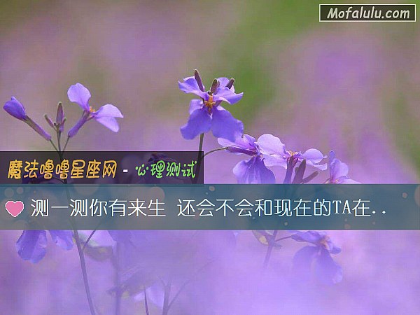测一测你有来生 还会不会和现在的TA在一起 测一测你有来生 还会不会和现在的TA在一起