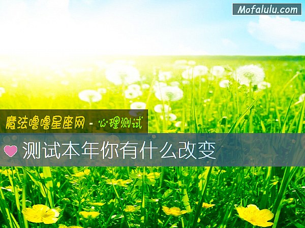 测试本年你有什么改变