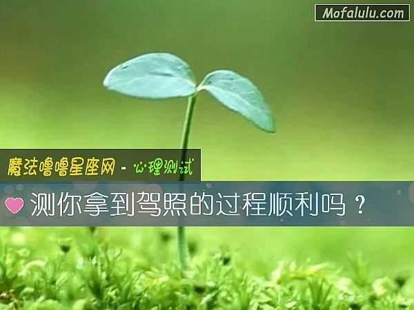 测你拿到驾照的过程顺利吗？