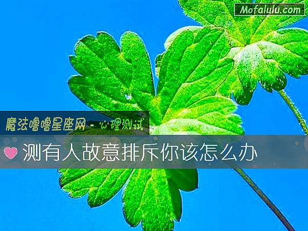测有人故意排斥你该怎么办