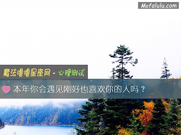 本年你会遇见刚好也喜欢你的人吗？