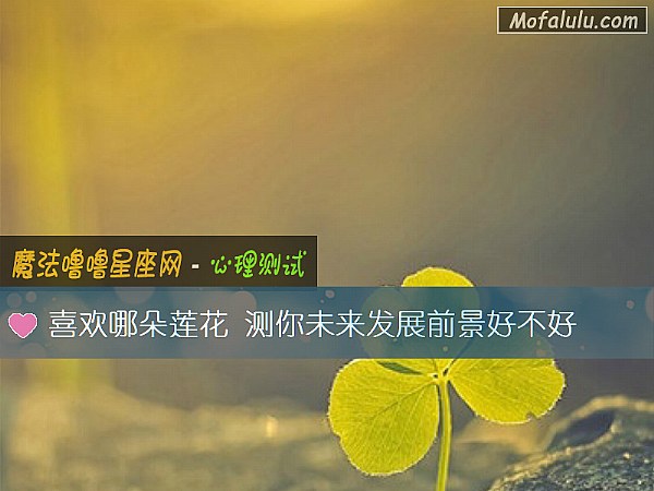 喜欢哪朵莲花 测你未来发展前景好不好 喜欢哪朵莲花 测你未来发展前景好不好