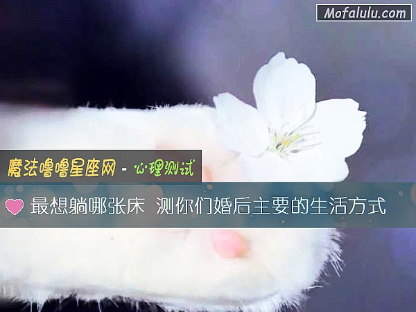 最想躺哪张床 测你们婚后主要的生活方式 最想躺哪张床 测你们婚后主要的生活方式