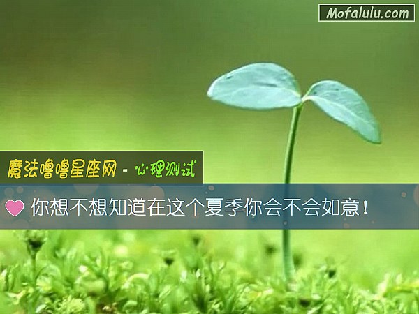 你想不想知道在这个夏季你会不会如意！