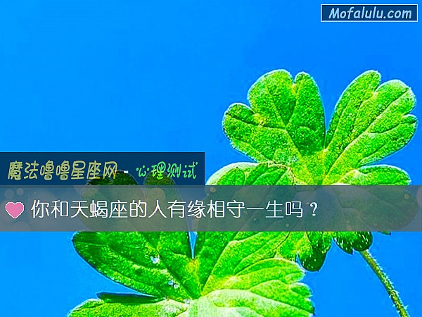 你和天蝎座的人有缘相守一生吗？