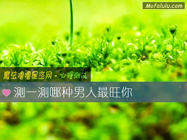 测一测哪种男人最旺你