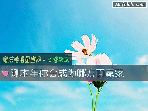 测本年你会成为哪方面赢家