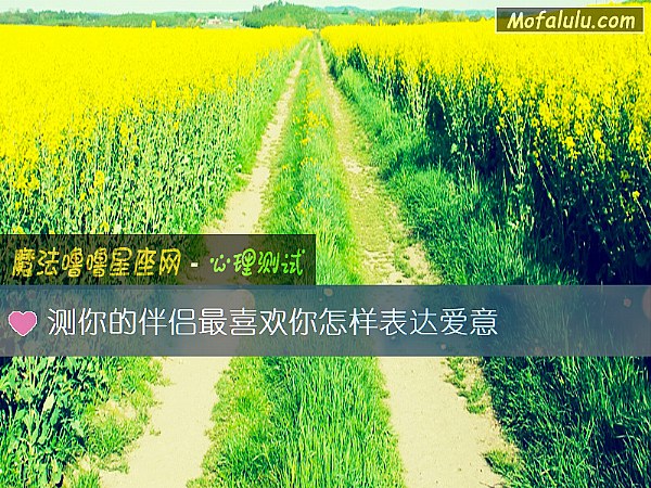 测你的伴侣最喜欢你怎样表达爱意