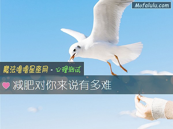 减肥对你来说有多难