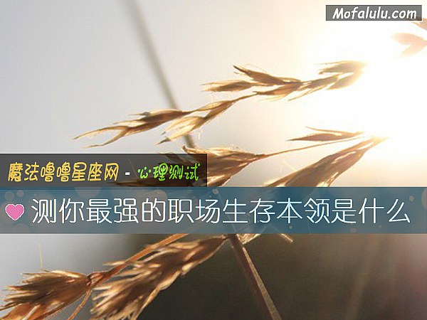 测你最强的职场生存本领是什么