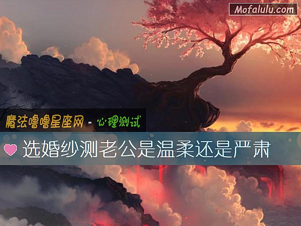 选婚纱测老公是温柔还是严肃