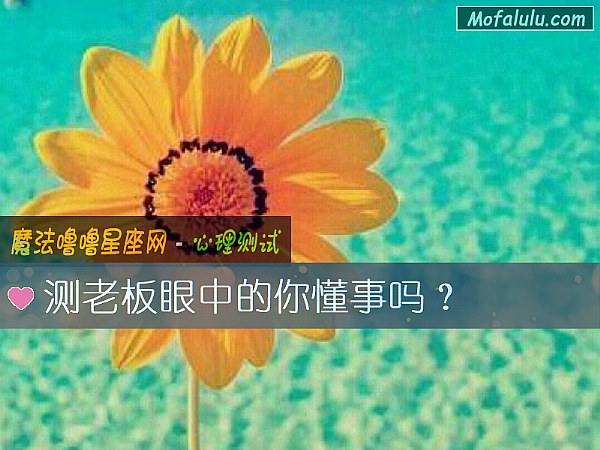 测老板眼中的你懂事吗？