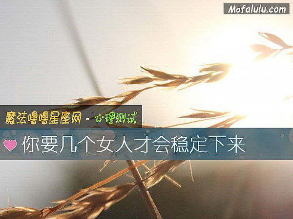 你要几个女人才会稳定下来