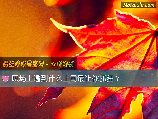 职场上遇到什么上司最让你抓狂？