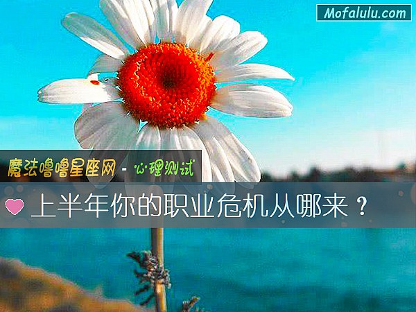 上半年你的职业危机从哪来？