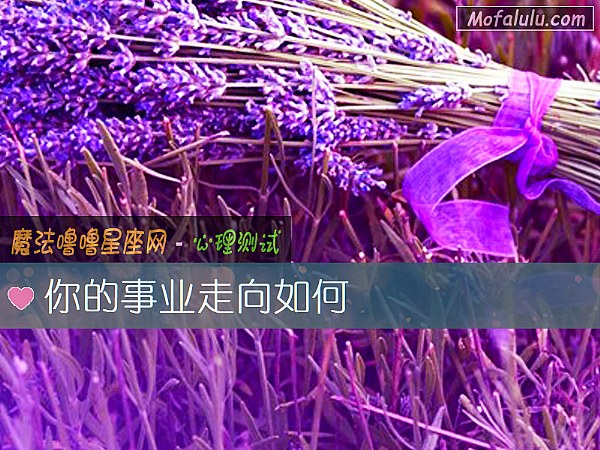 你的事业走向如何