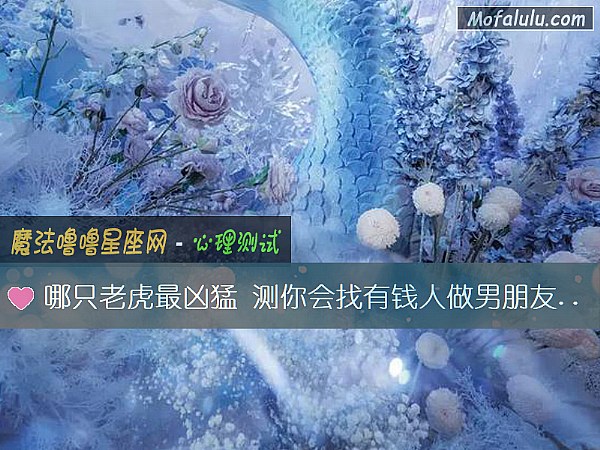 哪只老虎最凶猛 测你会找有钱人做男朋友吗？