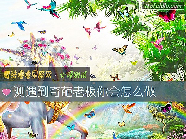 测遇到奇葩老板你会怎么做