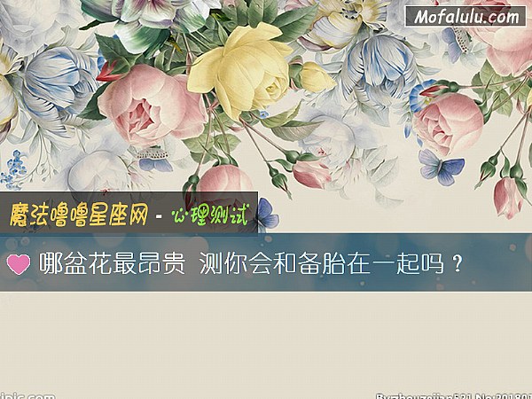 哪盆花最昂贵 测你会和备胎在一起吗? 哪盆花最昂贵 测你会和备胎在一起吗?