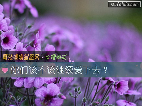 你们该不该继续爱下去？