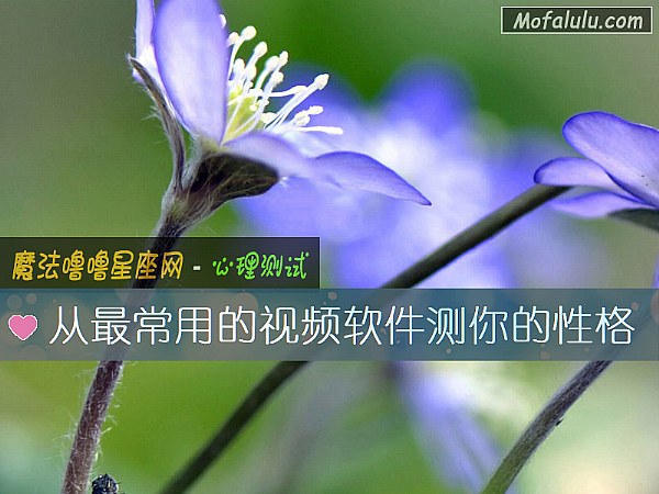 从最常用的视频软件测你的性格
