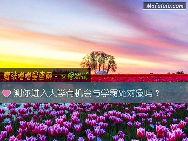 测你进入大学有机会与学霸处对象吗？