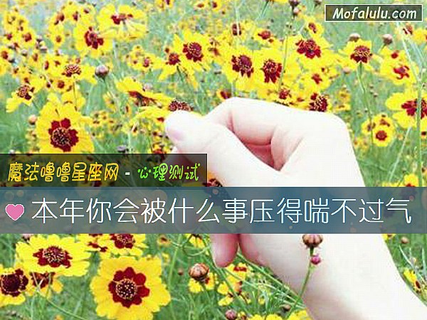 本年你会被什么事压得喘不过气