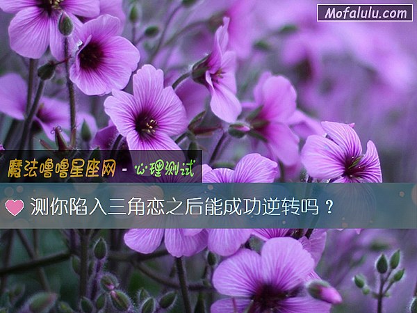 测你陷入三角恋之后能成功逆转吗? 测你陷入三角恋之后能成功逆转吗?