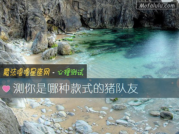 测你是哪种款式的猪队友