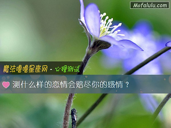 测什么样的恋情会赔尽你的感情？