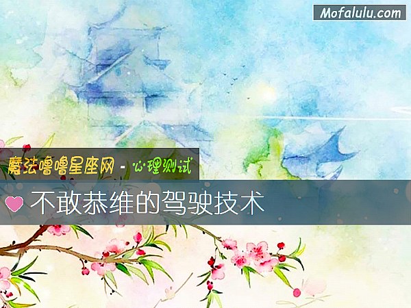 不敢恭维的驾驶技术