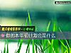《你的<i>本年</i>初计划会是什么》测试