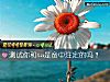 《测试你和ta是命中注定的吗?》测试