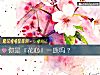 《你是『花心』一族吗？》测试