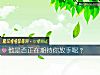 《他是否正在期待你放手呢?》测试