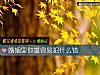 《婚姻里你最容易犯什么错》测试