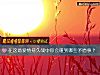 《在这场爱情持久战中你会碰到哪些<i>矛盾</i>事?》测试