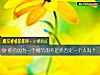 《你会因为一个<i>细节</i>的不足而否定一个人吗?》测试