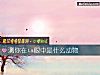 《测你在ta<i>眼中</i>是什么动物》测试