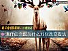 《测<i>伴侣</i>会因为什么对你改变看法》测试